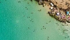 ✓ Žiadne poplatky agentúre ✓ Žiadne skryté dodatočné poplatky ✓ Žiadne poplatky za rezerváciu kurzu ✓ Žiadne dodatočné poplatky za ubytovanie ✓ Žiadne poplatky za študijné materiály 100 % bez rezervačných poplatkov